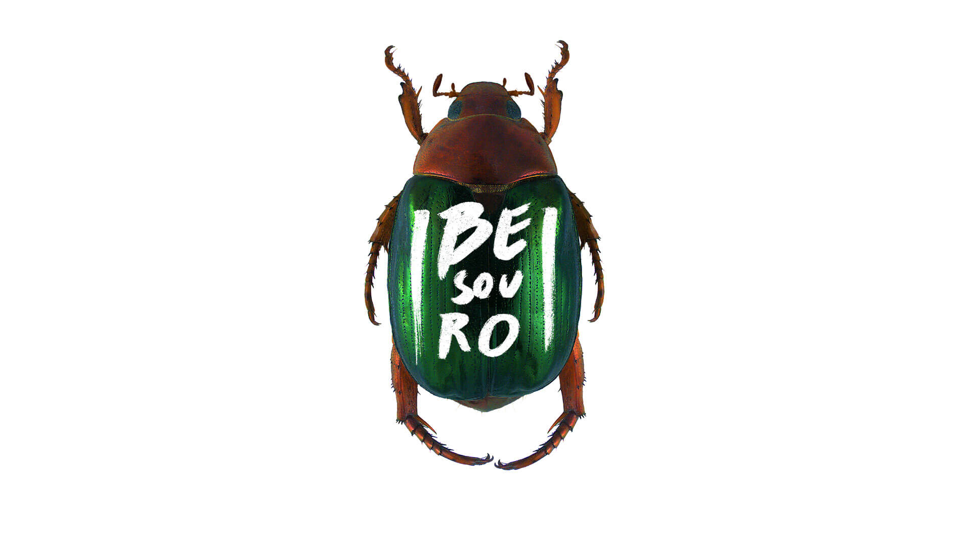 The Besouro brand, in white, applied over a green and brown beetle